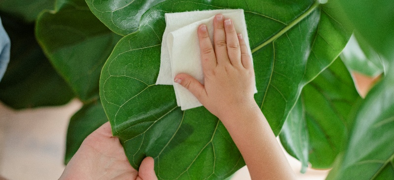 The blue ocean of "full-scenario application" of biodegradable wet wipes has arrived